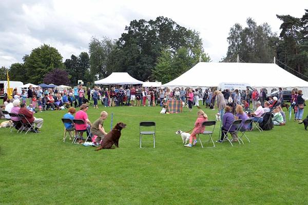 16. The Fun Dog Show.jpg